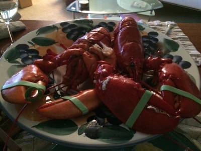 homard, avant intervention